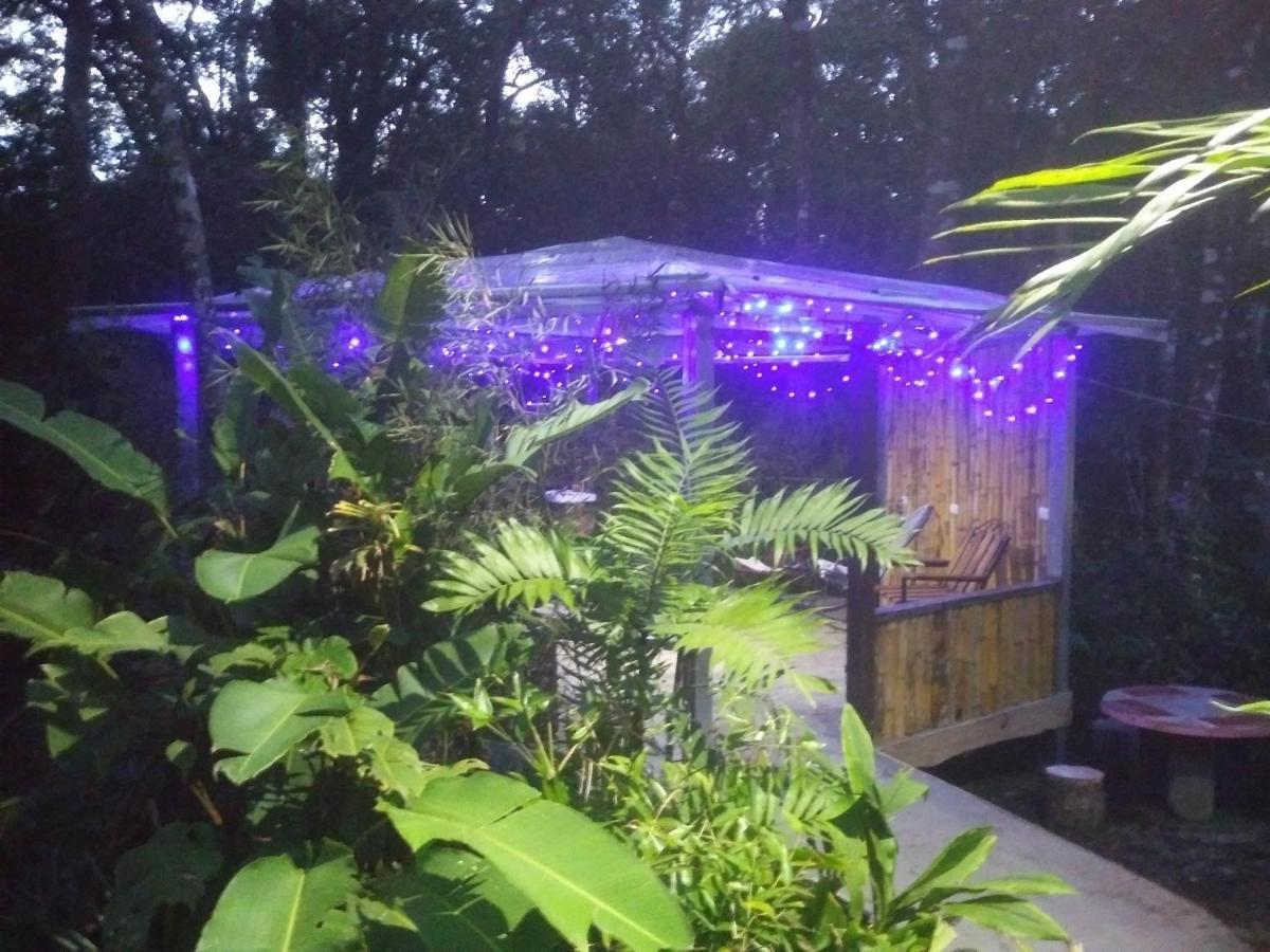 Cabanas La Montana Mountain Lodge Monteverde Екстериор снимка
