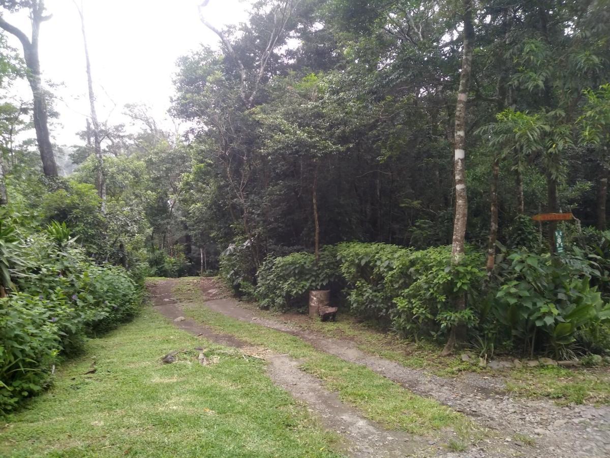 Cabanas La Montana Mountain Lodge Monteverde Екстериор снимка
