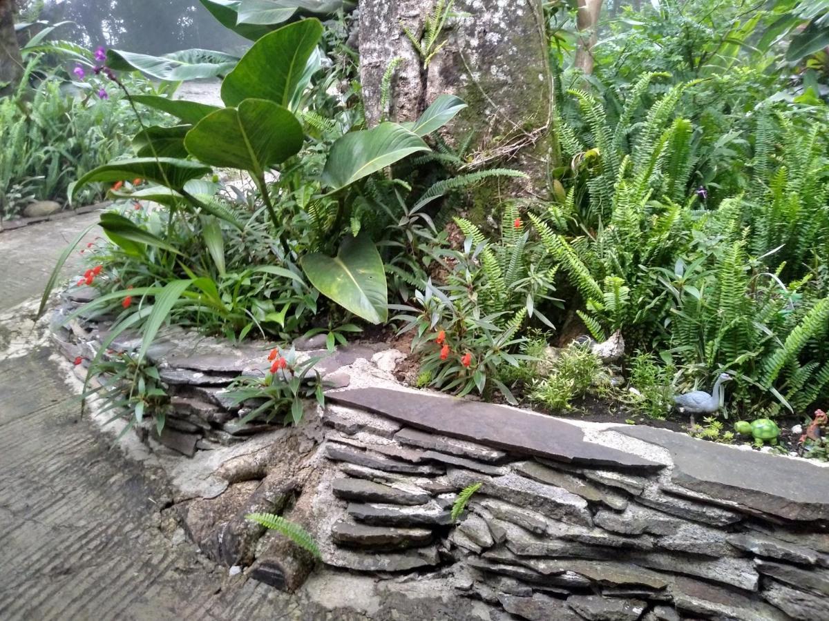 Cabanas La Montana Mountain Lodge Monteverde Екстериор снимка