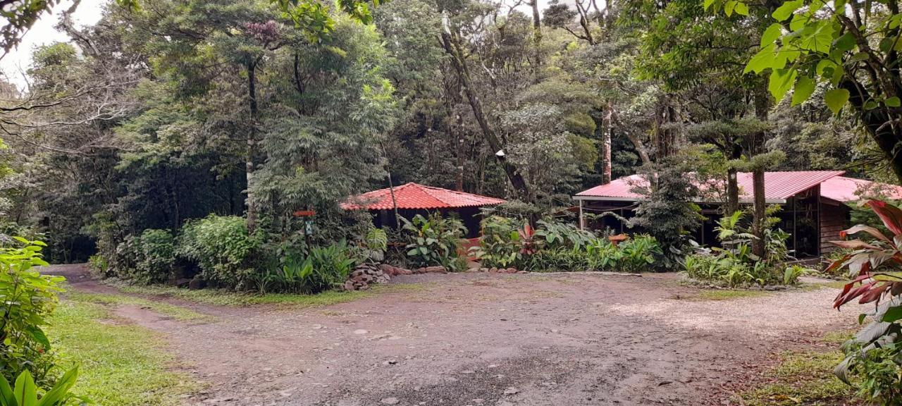 Cabanas La Montana Mountain Lodge Monteverde Екстериор снимка