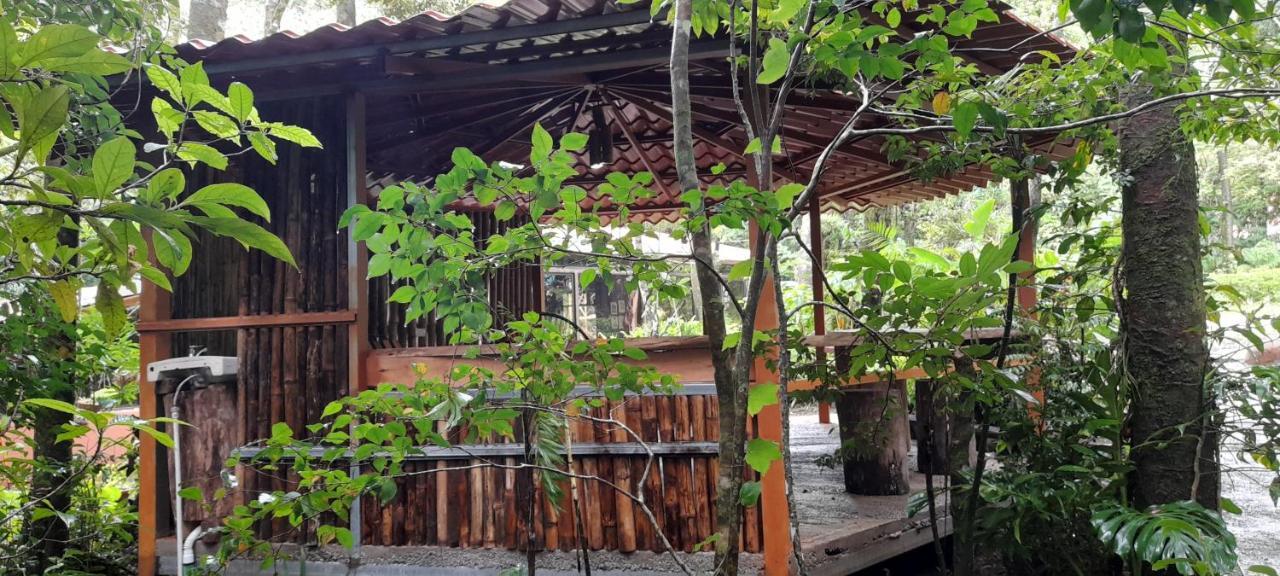Cabanas La Montana Mountain Lodge Monteverde Екстериор снимка