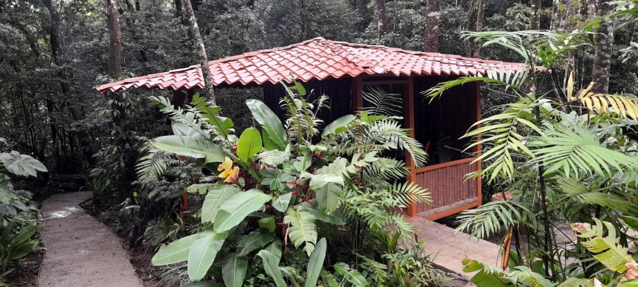 Cabanas La Montana Mountain Lodge Monteverde Екстериор снимка