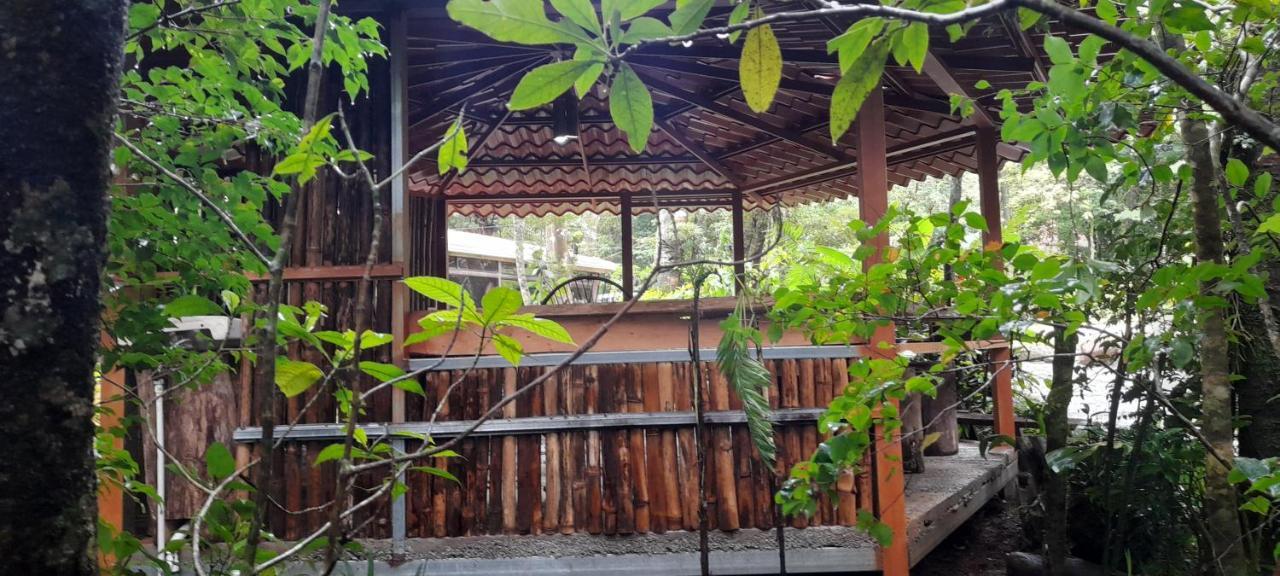 Cabanas La Montana Mountain Lodge Monteverde Екстериор снимка