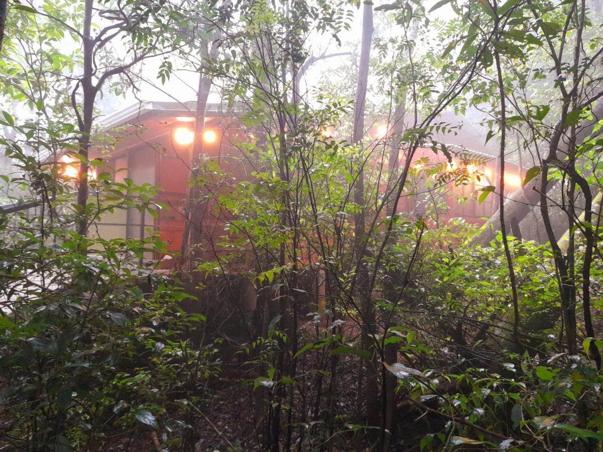 Cabanas La Montana Mountain Lodge Monteverde Екстериор снимка