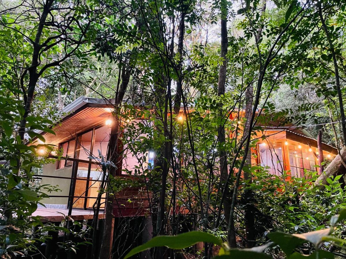 Cabanas La Montana Mountain Lodge Monteverde Екстериор снимка
