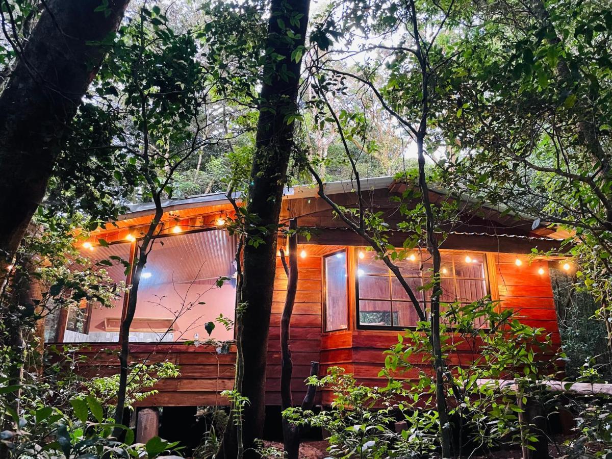 Cabanas La Montana Mountain Lodge Monteverde Екстериор снимка