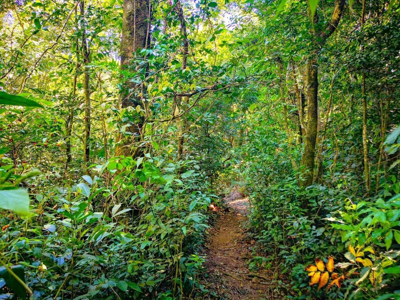 Cabanas La Montana Mountain Lodge Monteverde Екстериор снимка