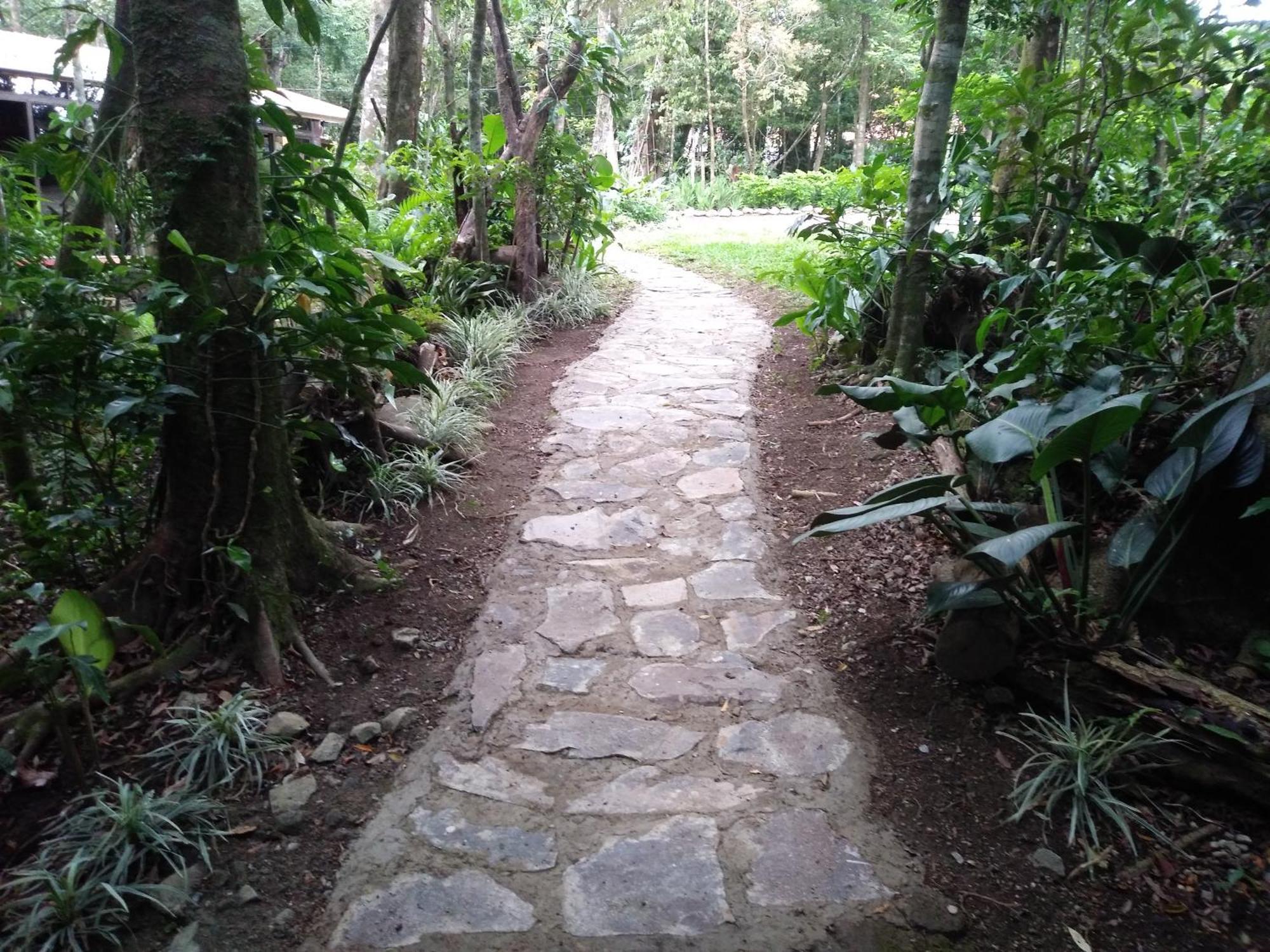 Cabanas La Montana Mountain Lodge Monteverde Екстериор снимка